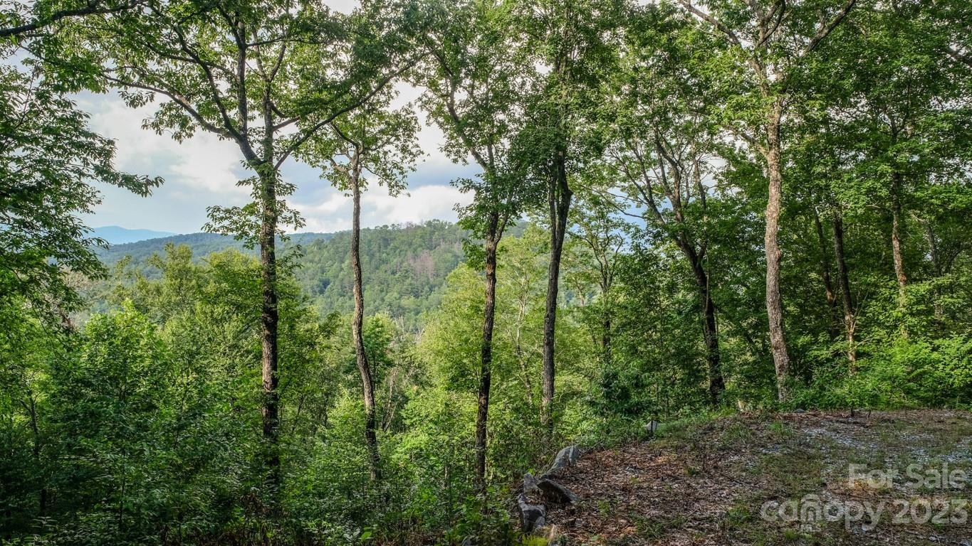 427 Quarry Road #22 - Photo 8