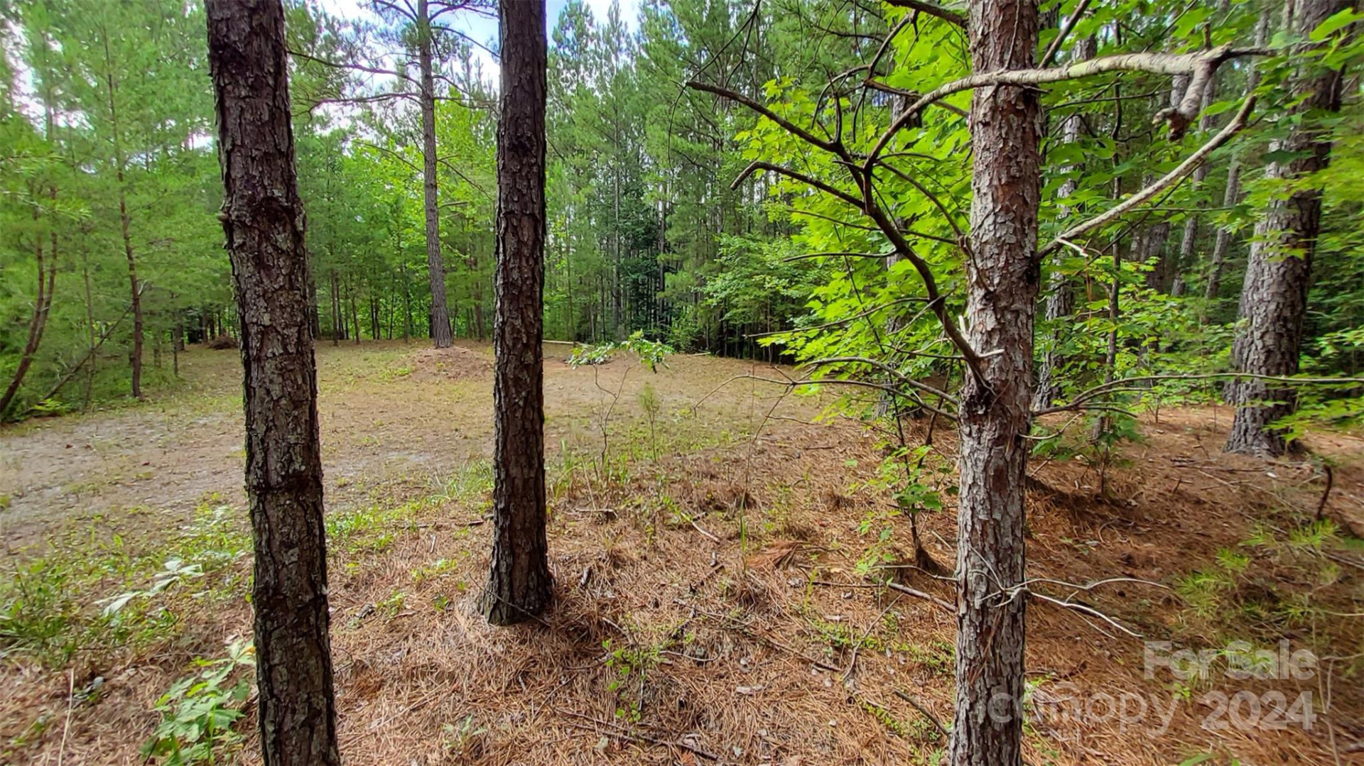 0 Sunset Drive #12 - Photo 11