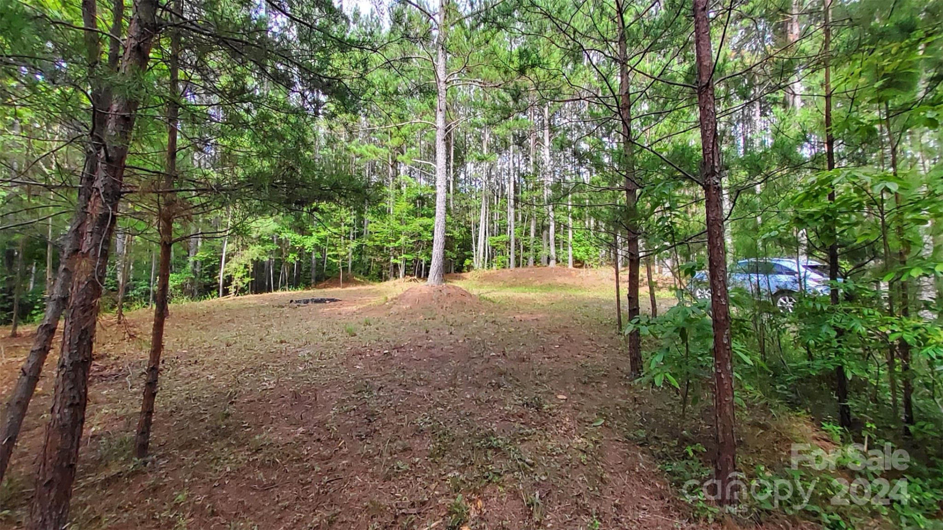 0 Sunset Drive #12 - Photo 13