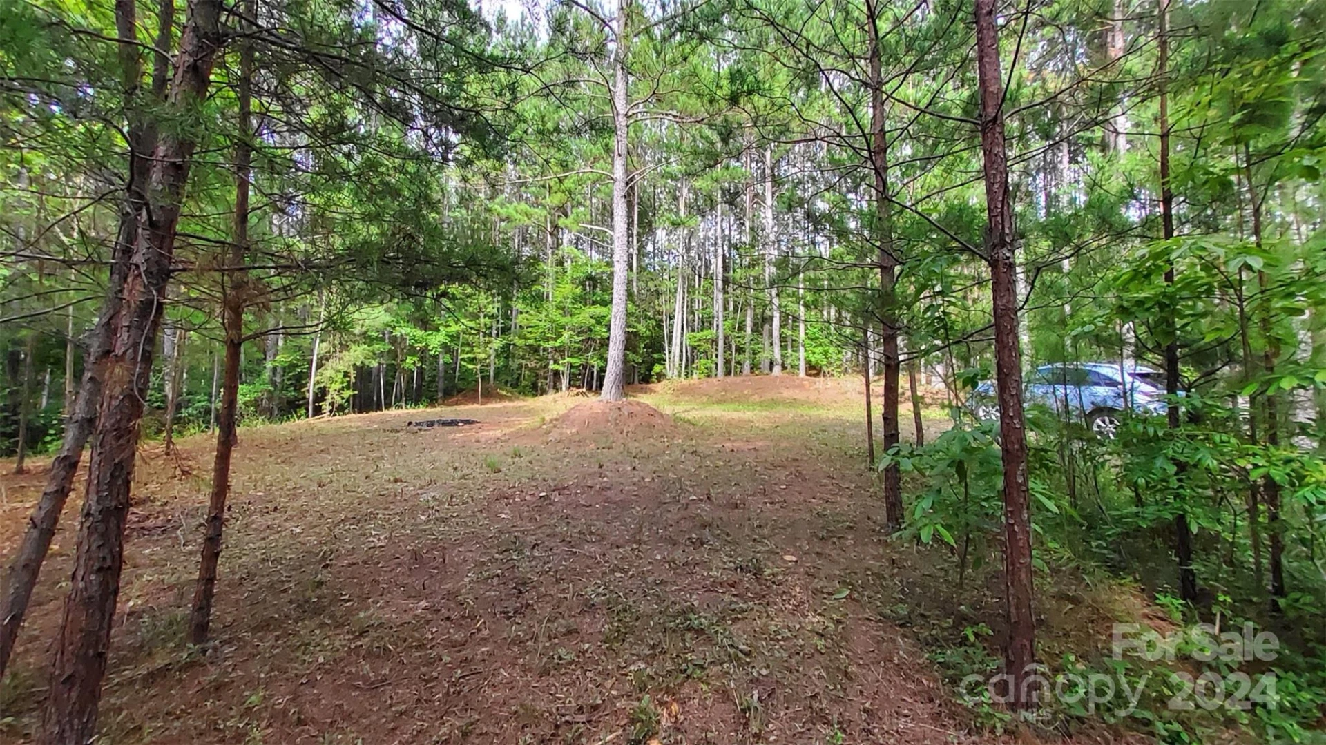 0 Sunset Drive #12 - Photo 13