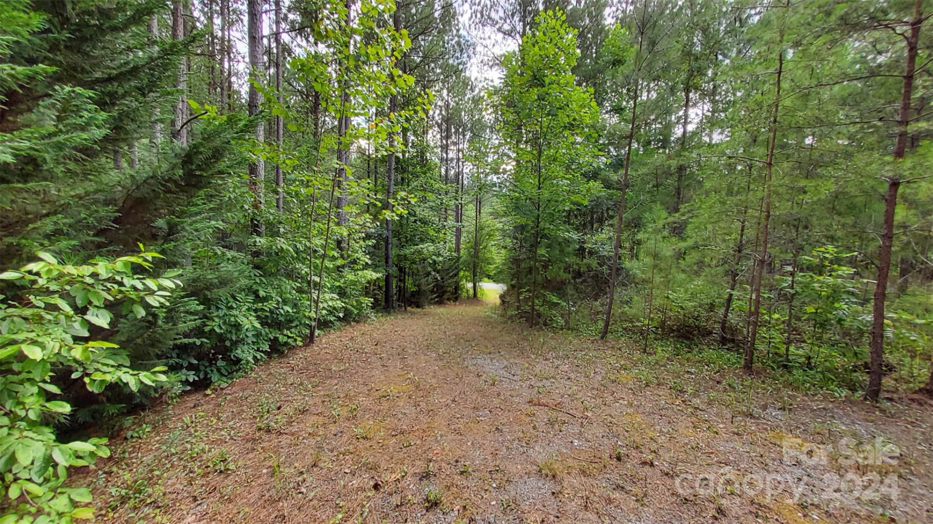 0 Sunset Drive #12 - Photo 14