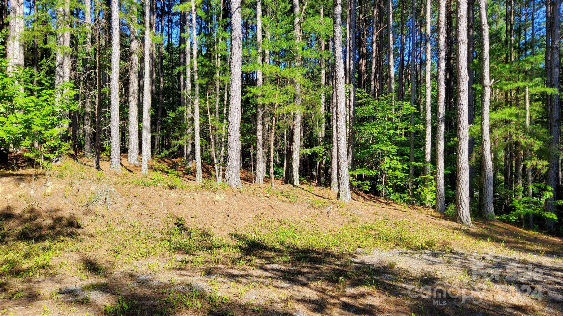 0 Sunset Drive #12 - Photo 6