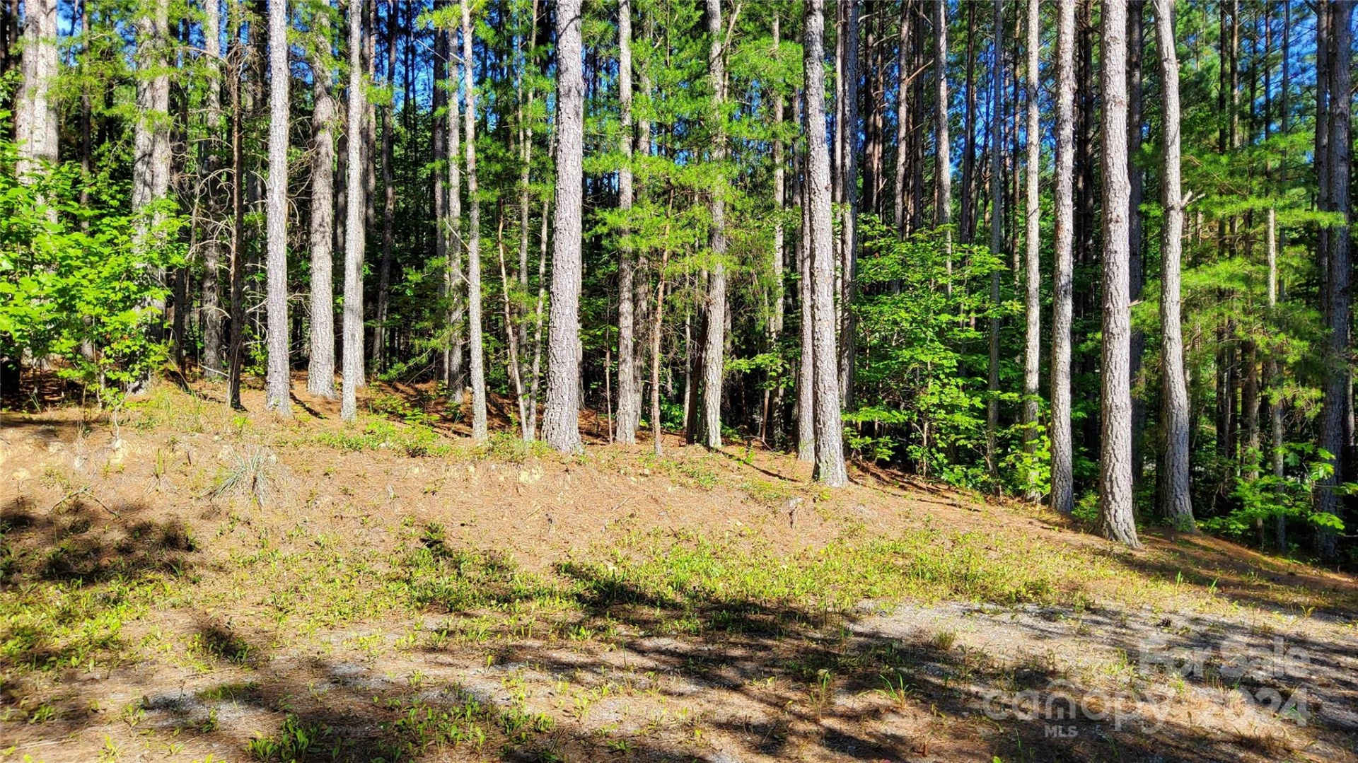 0 Sunset Drive #12 - Photo 6