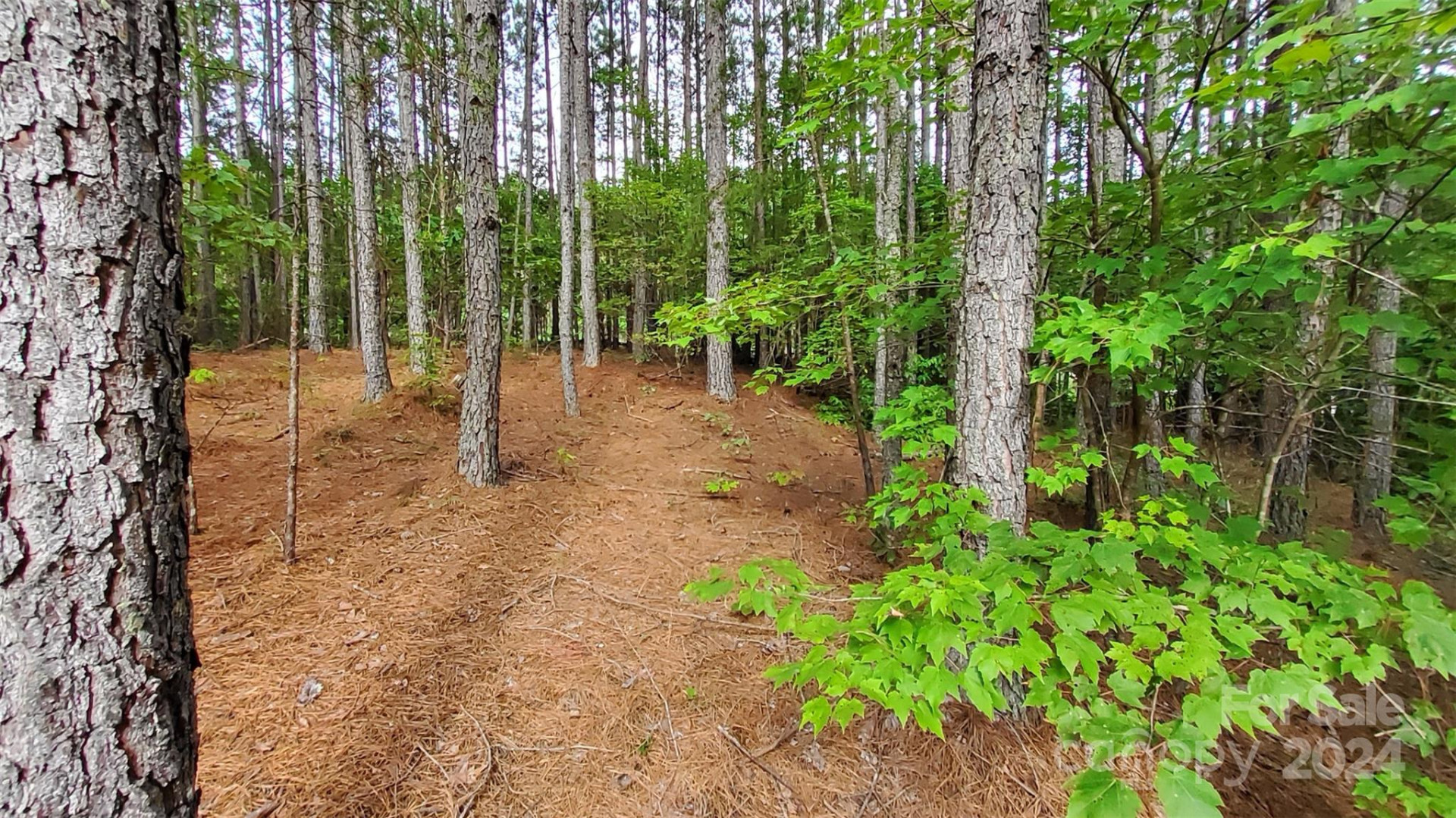 0 Sunset Drive #12 - Photo 8