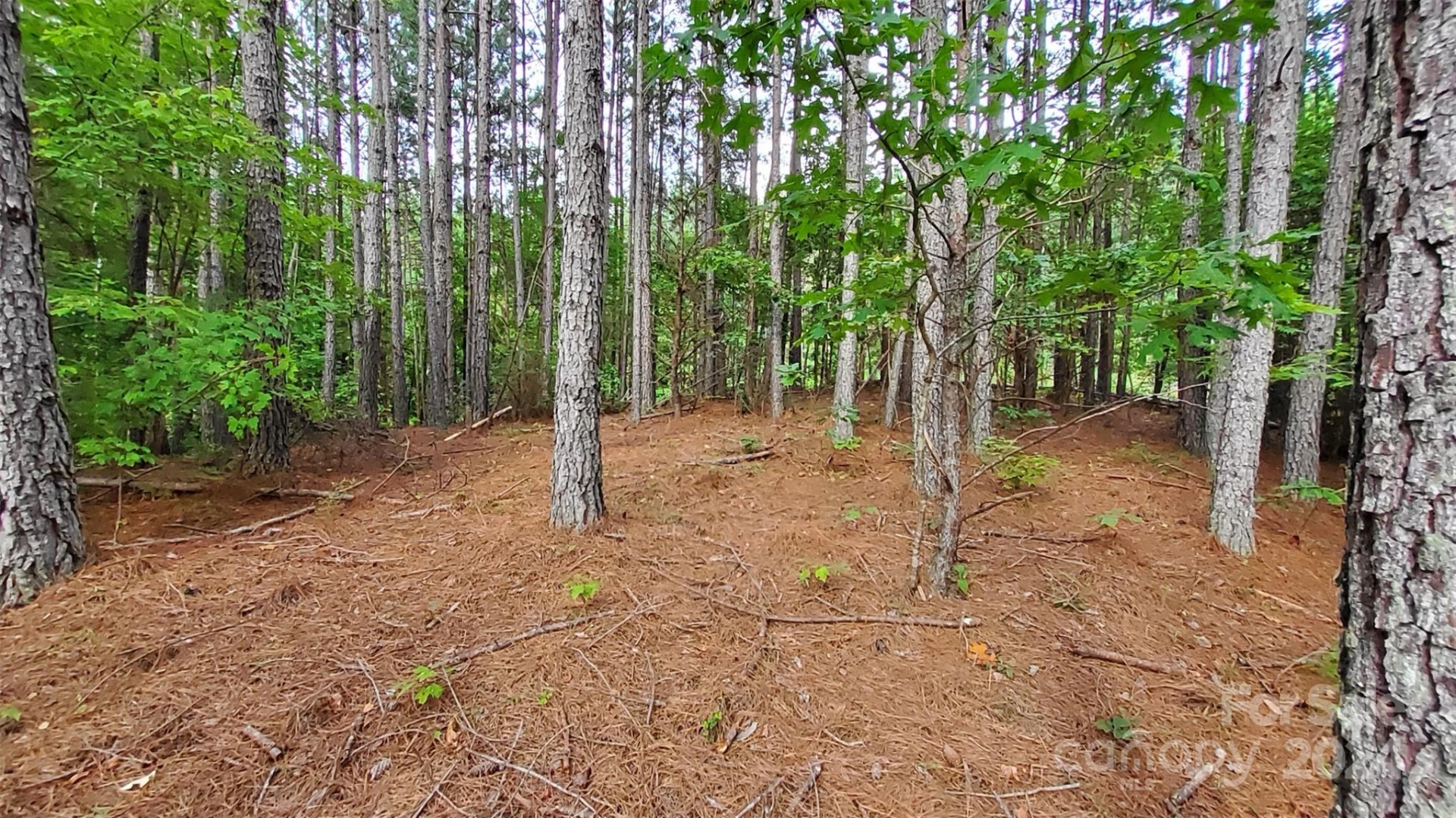 0 Sunset Drive #12 - Photo 9