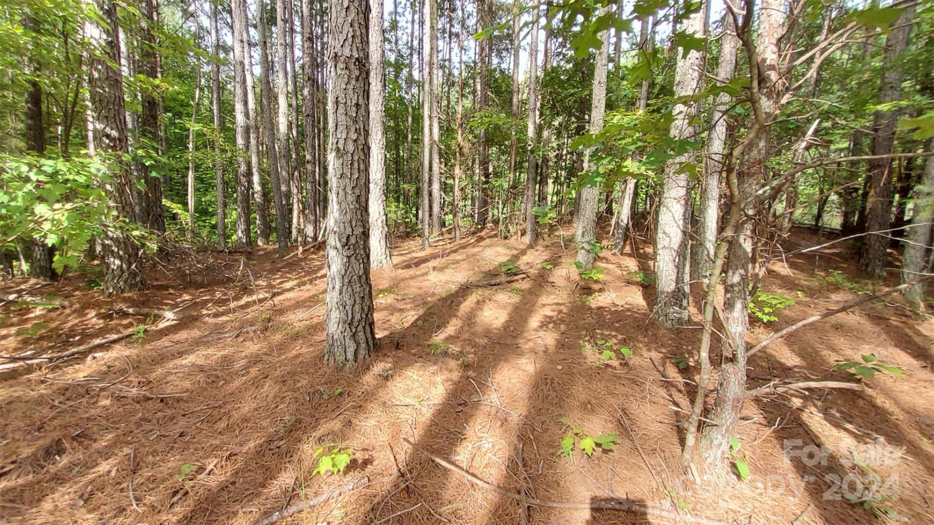 0 Sunset Drive #12 - Photo 10