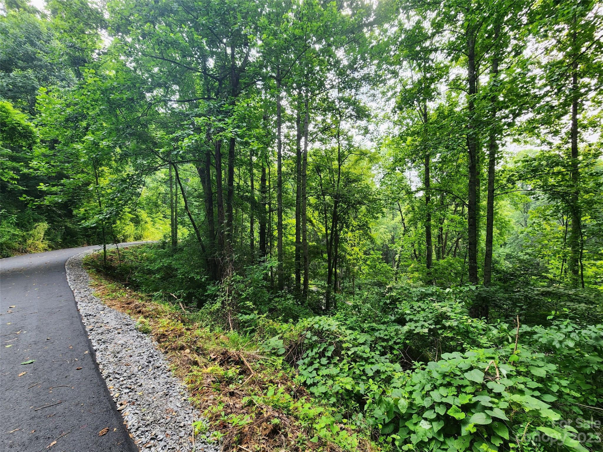 00 Havenwood Drive #C21 - Photo 6