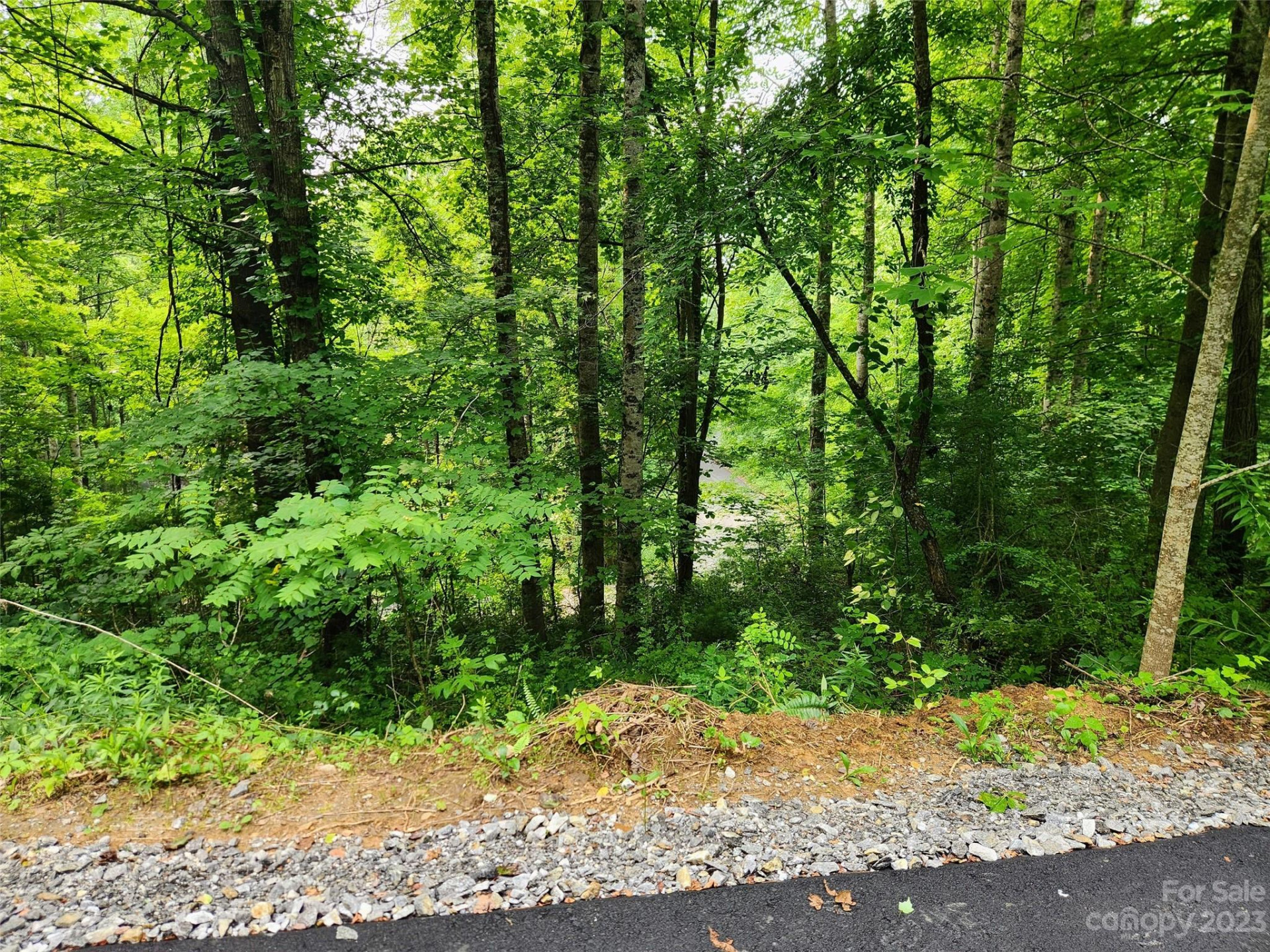 00 Havenwood Drive #C21 - Photo 8