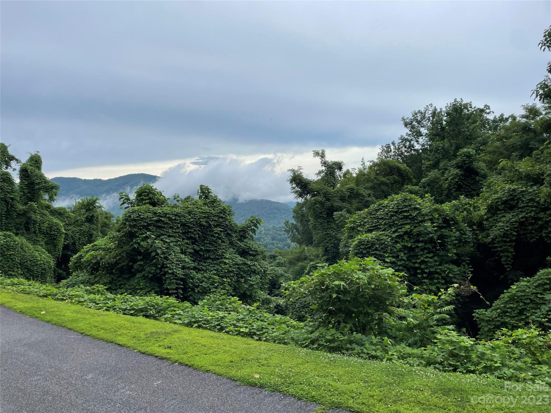 0 Clear Creek Trail #31 - Photo 3