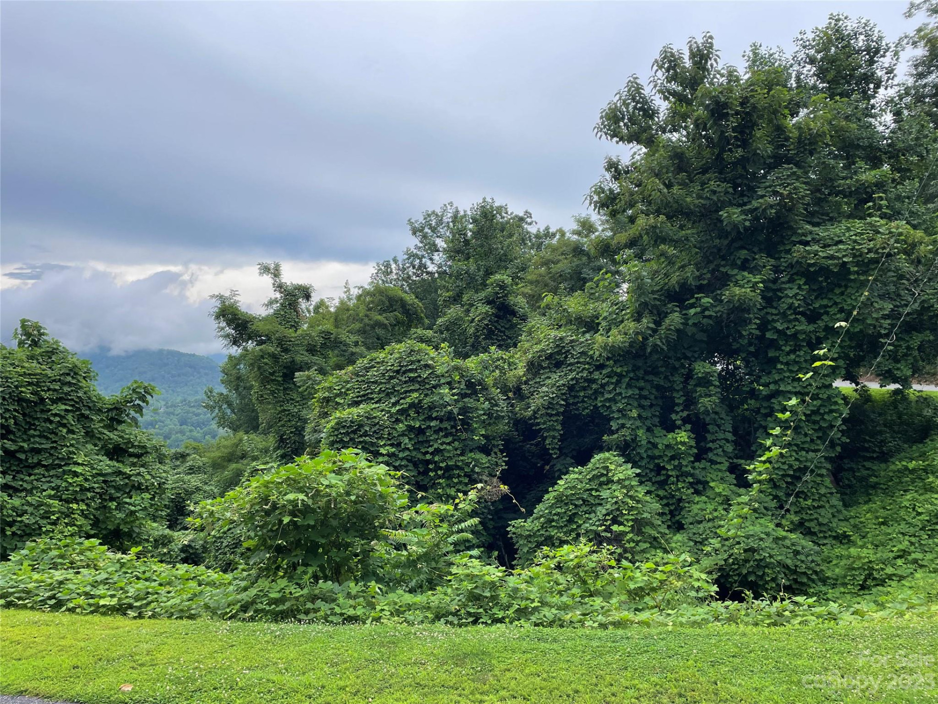 0 Clear Creek Trail #31 - Photo 4