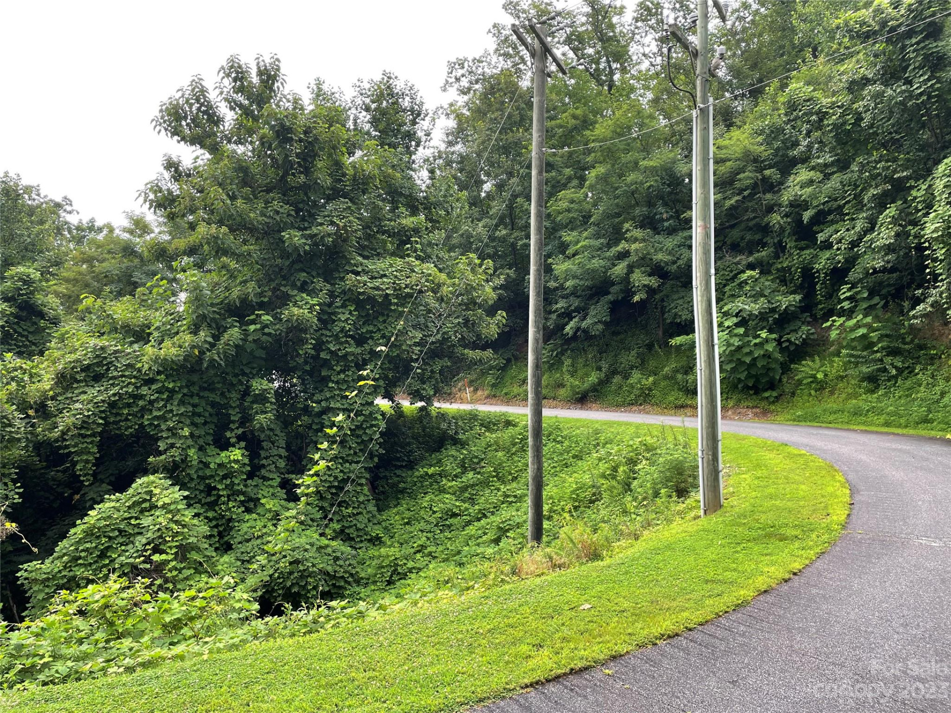 0 Clear Creek Trail #31 - Photo 5