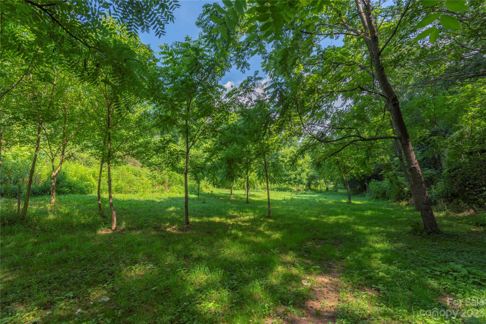 492, 518 and 524 Scruggs Circle - Photo 6