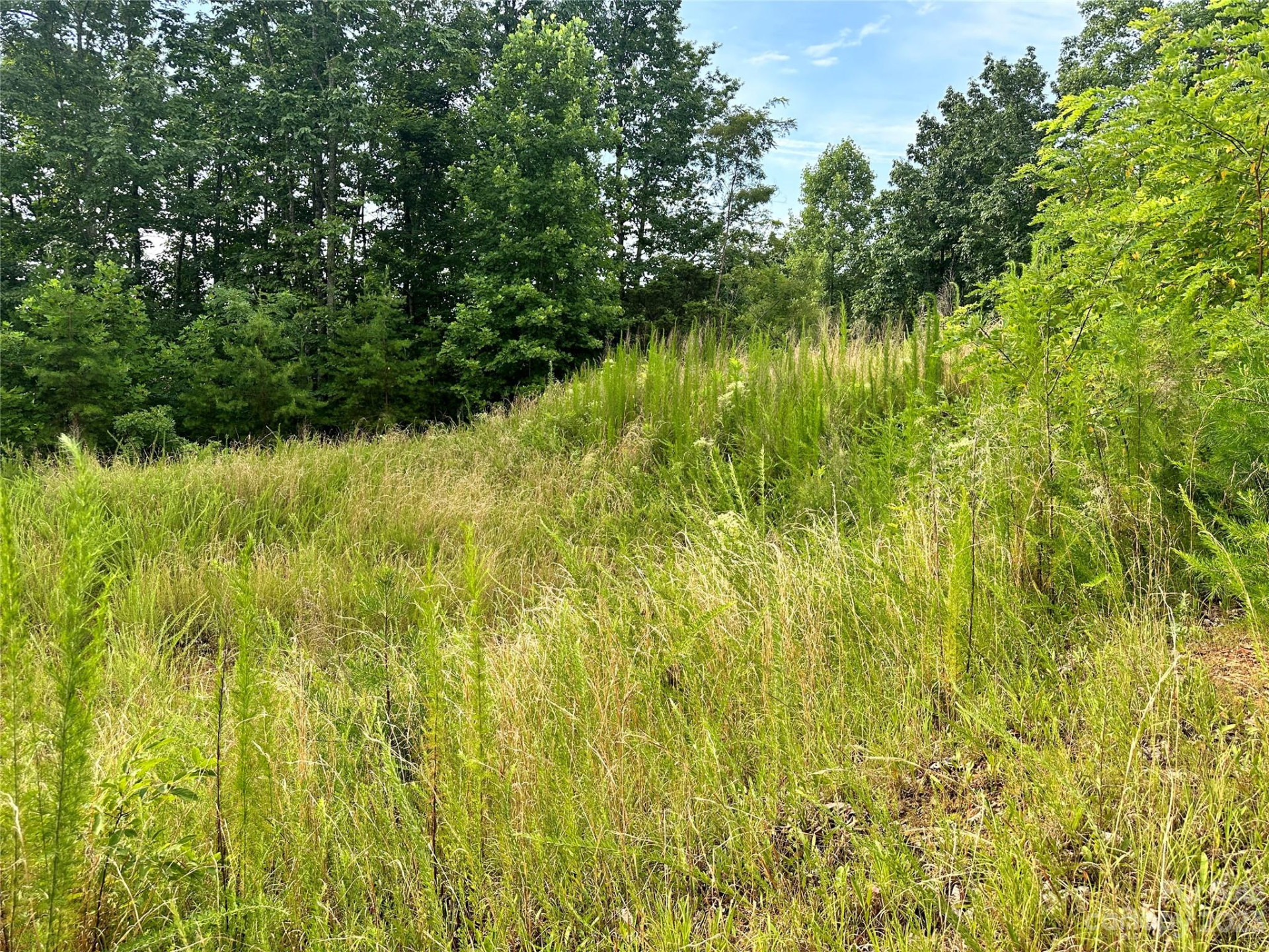 643 Woodgate Drive #40 - Photo 4