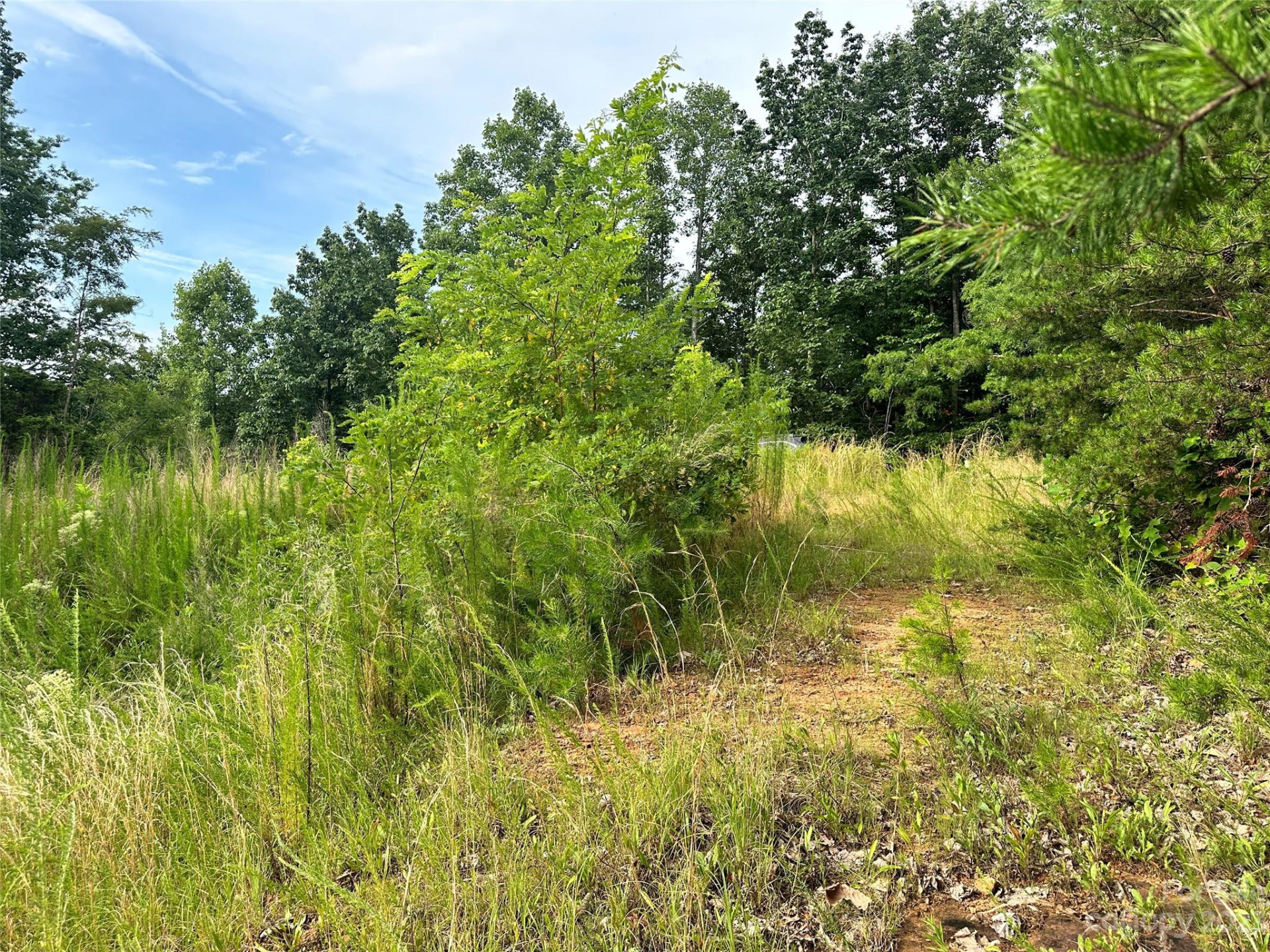 643 Woodgate Drive #40 - Photo 5