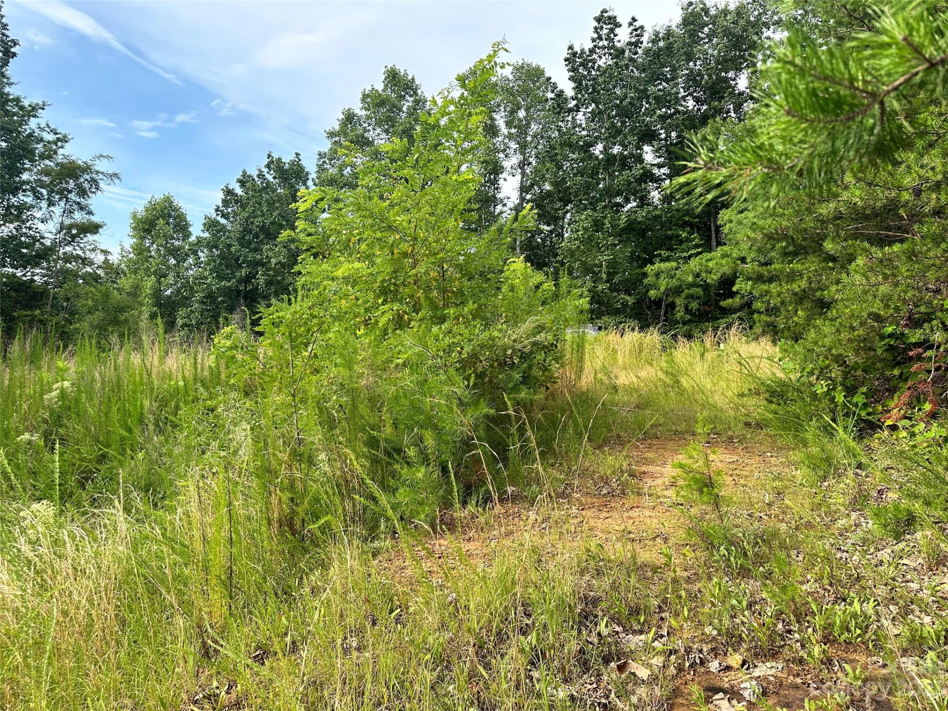 643 Woodgate Drive #40 - Photo 5
