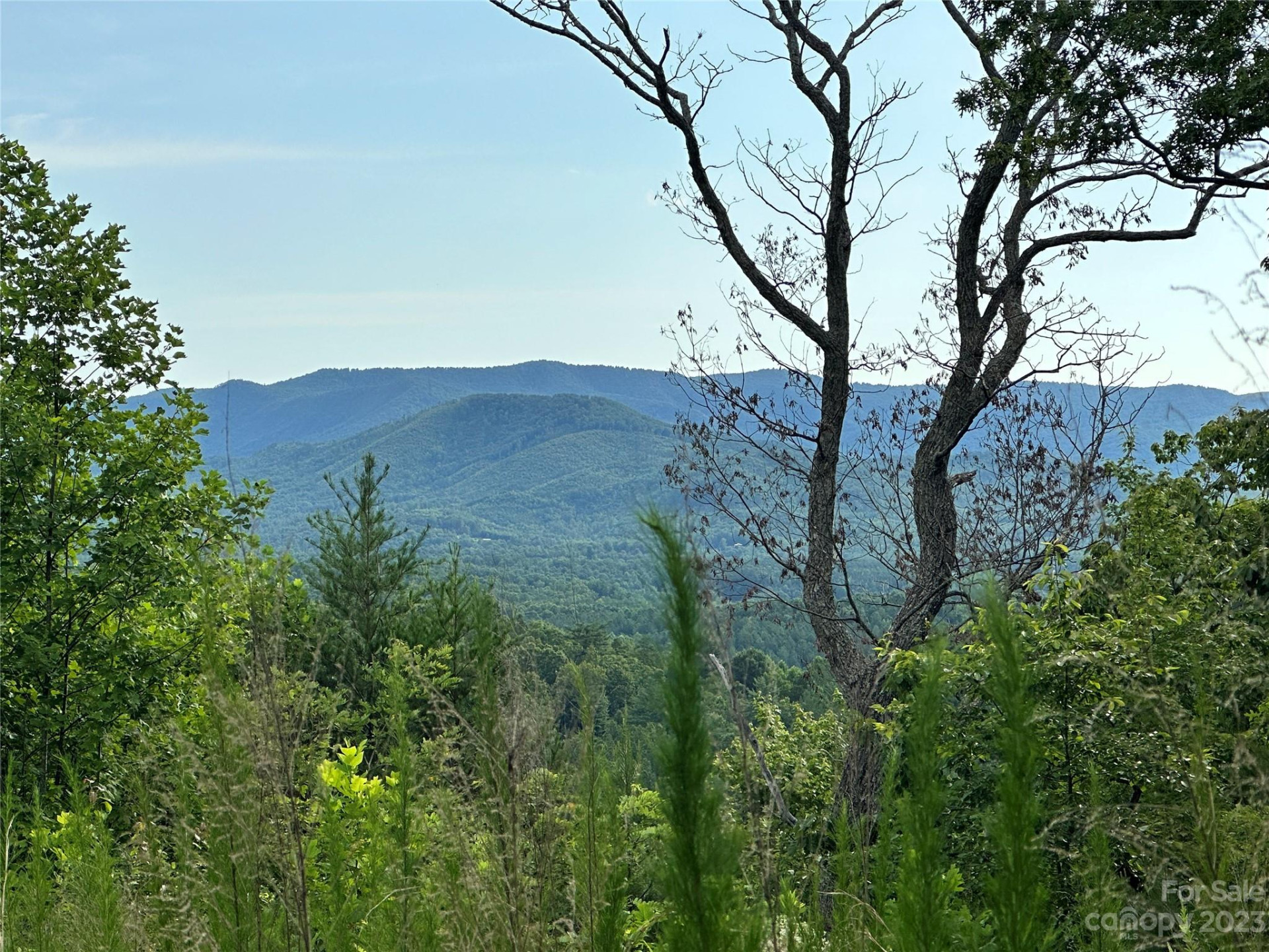 643 Woodgate Drive #40 - Photo 8