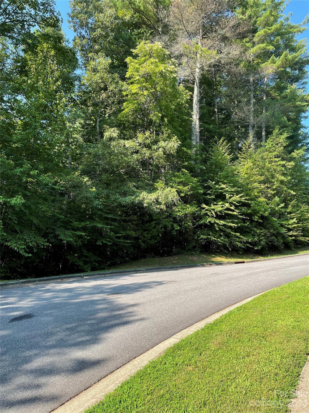 V48&49 Camptown Road #V48&49 - Photo 2