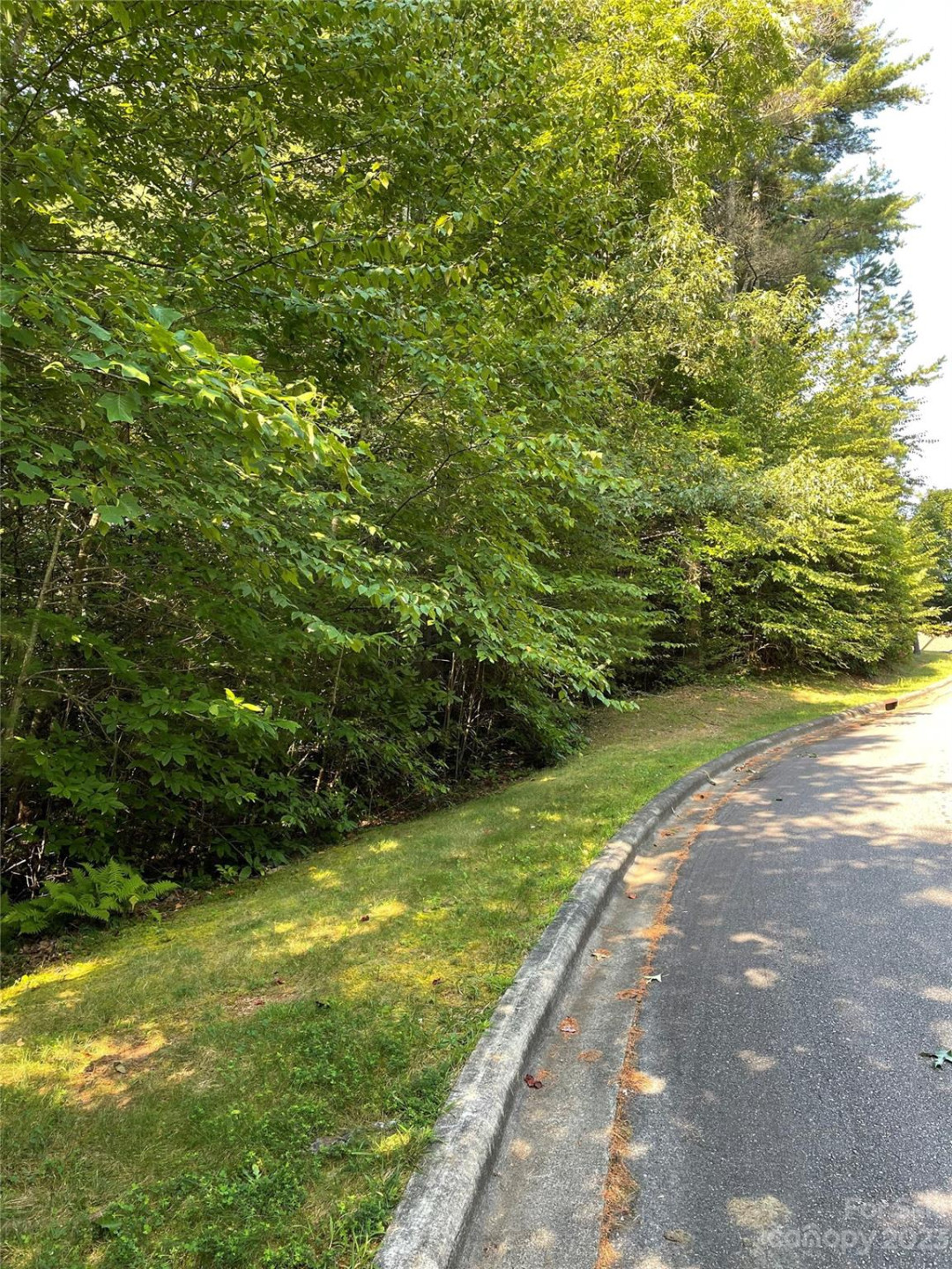 V48&49 Camptown Road #V48&49 - Photo 3