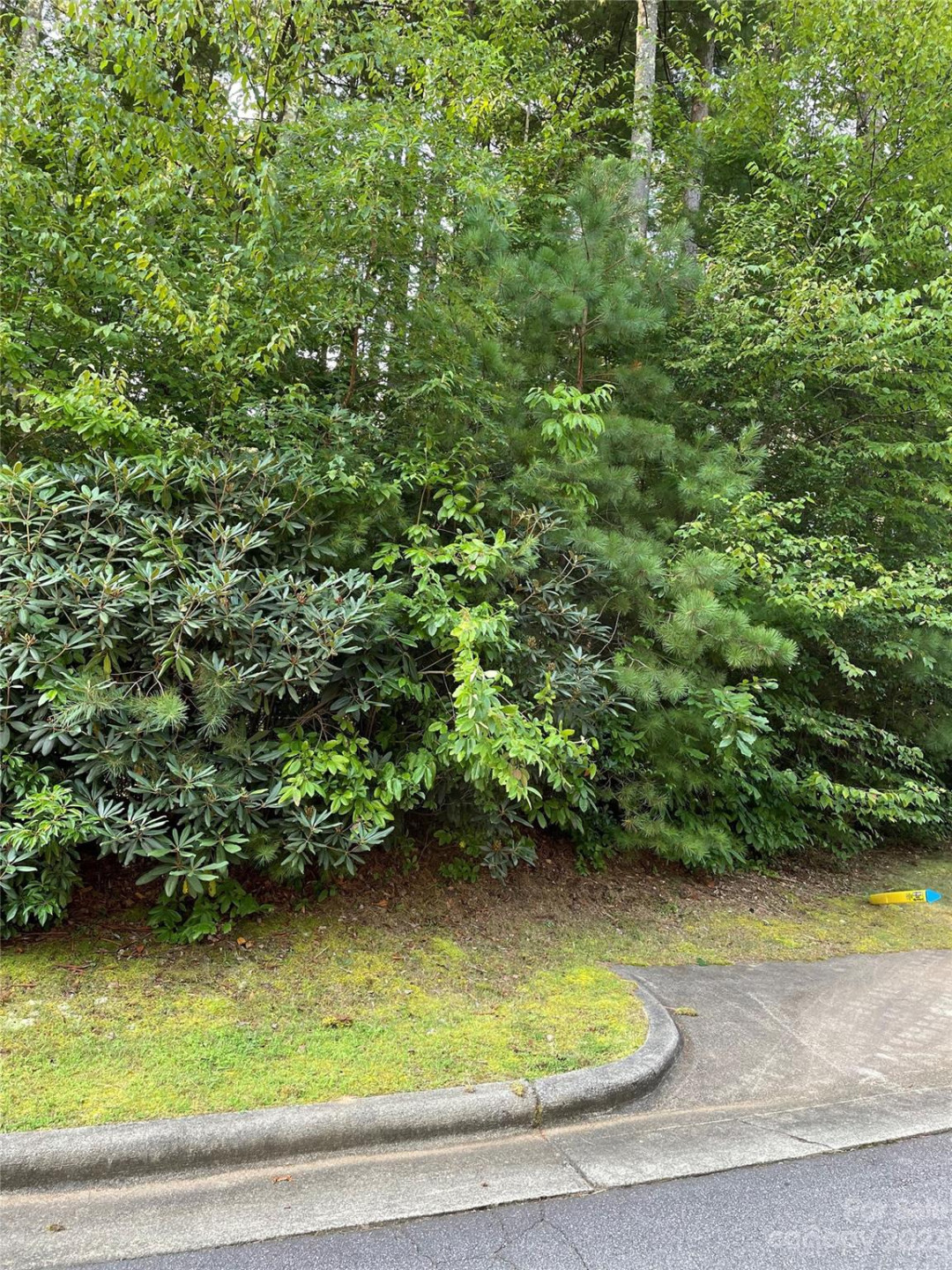 V48&49 Camptown Road #V48&49 - Photo 4