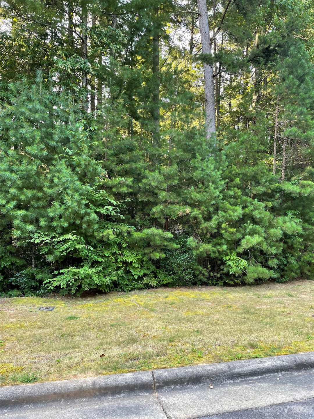 V48&49 Camptown Road #V48&49 - Photo 5