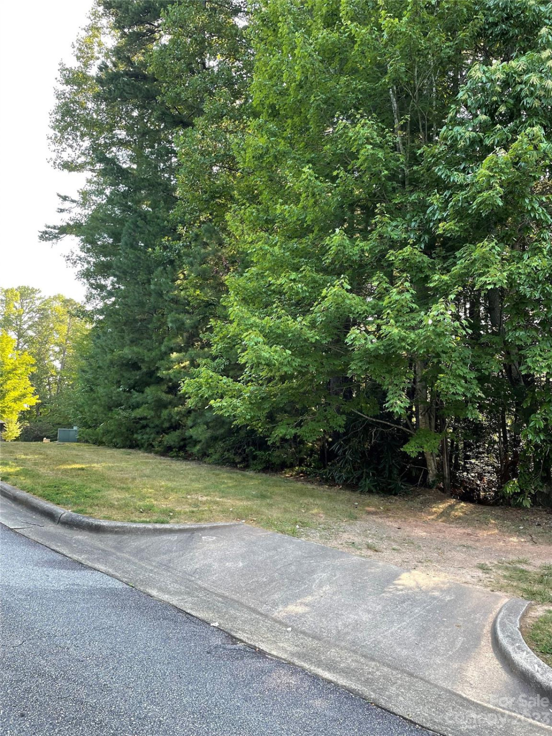 V48&49 Camptown Road #V48&49 - Photo 6