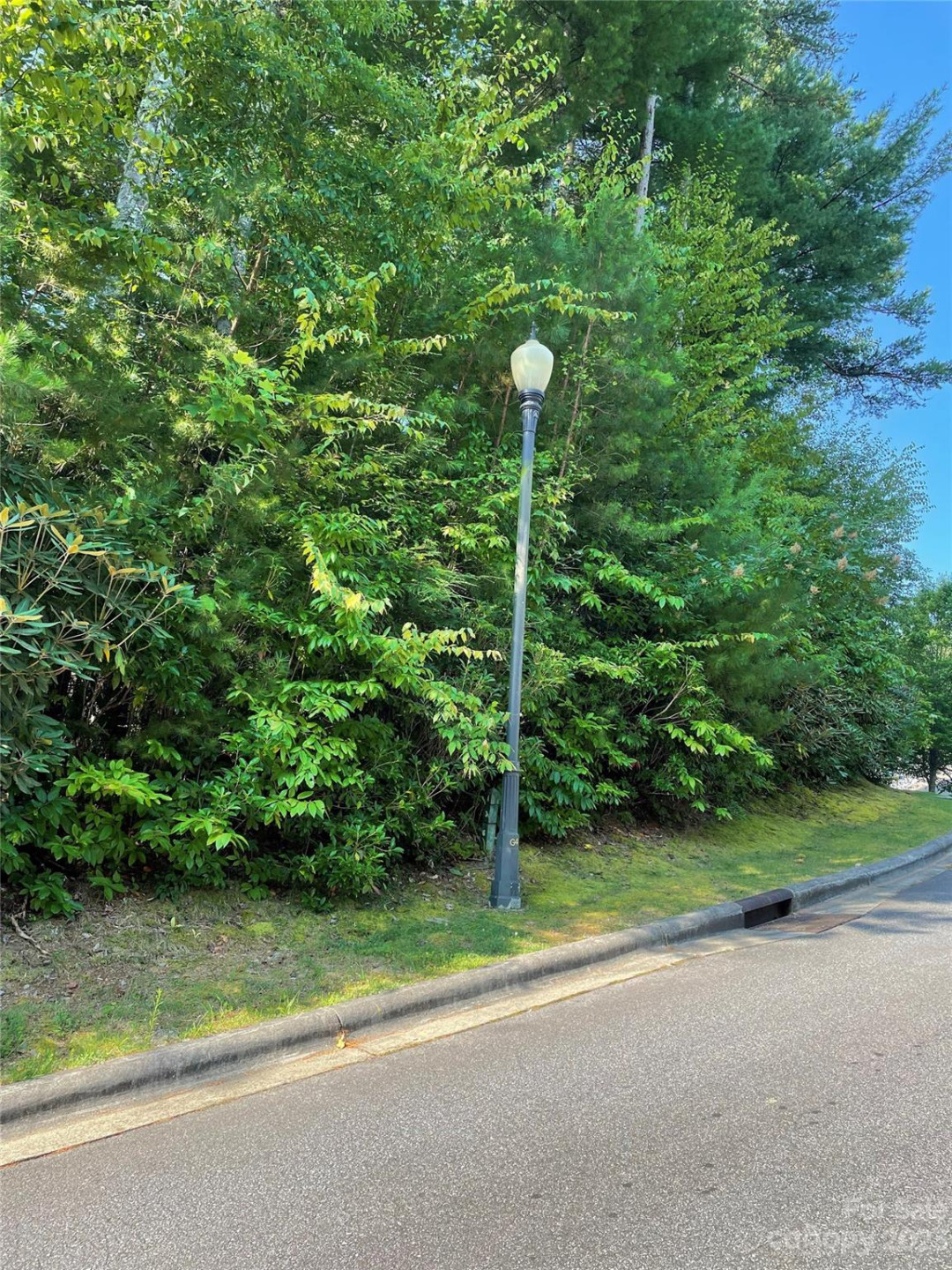 V48&49 Camptown Road #V48&49 - Photo 8