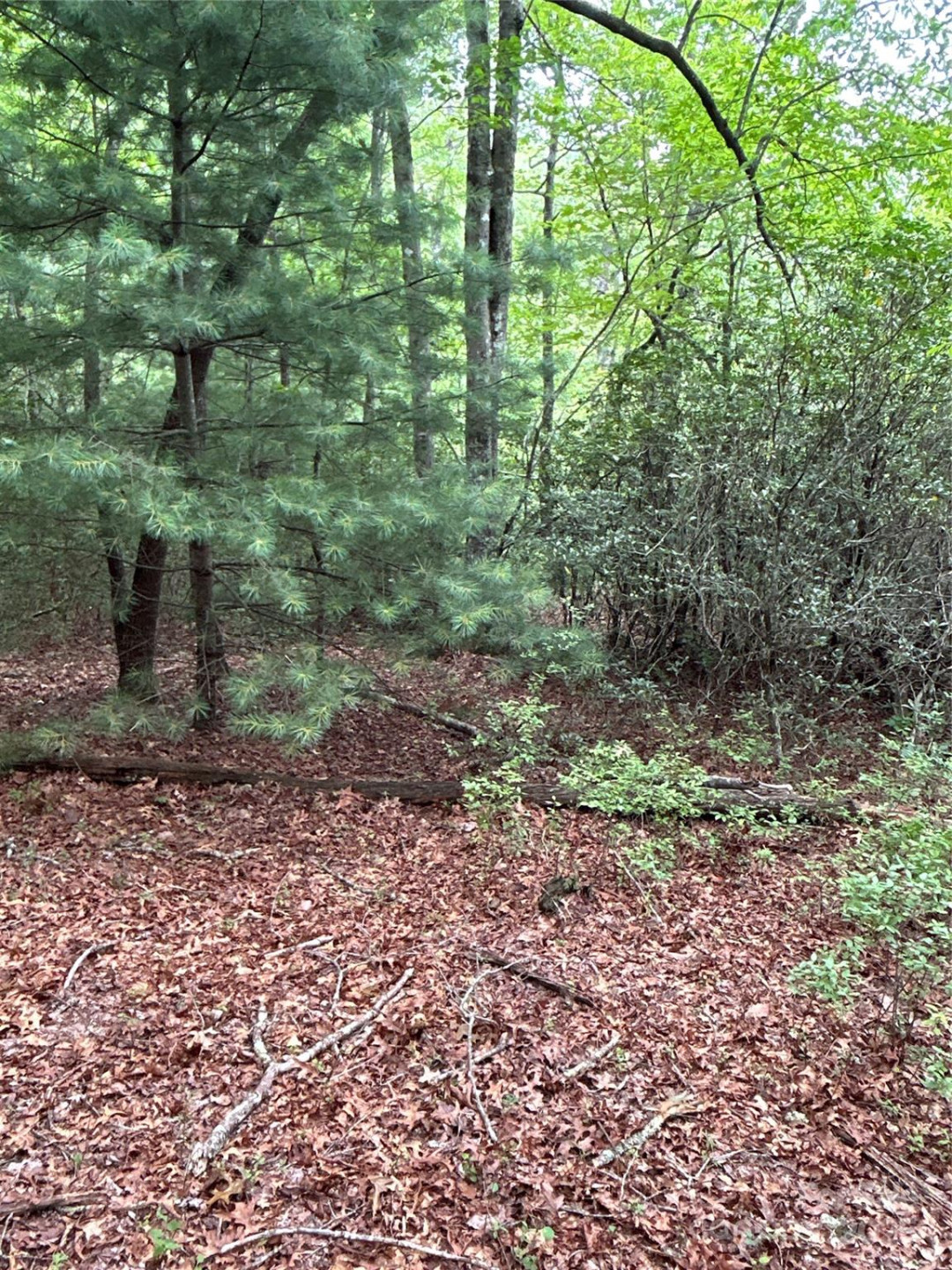 55 Locust Court - Photo 11