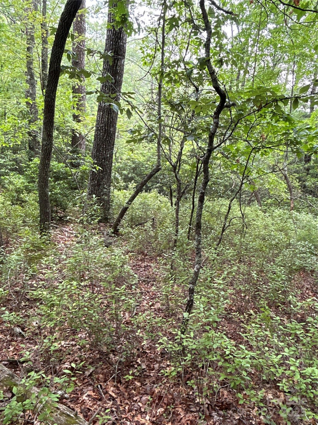 55 Locust Court - Photo 12