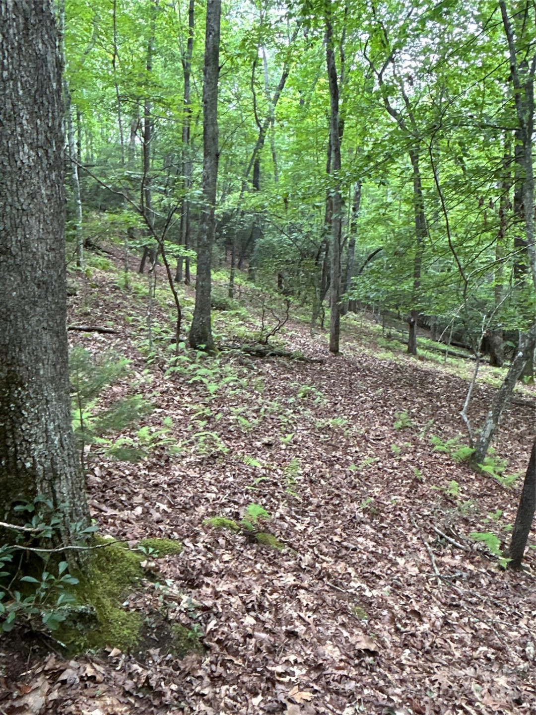 55 Locust Court - Photo 13