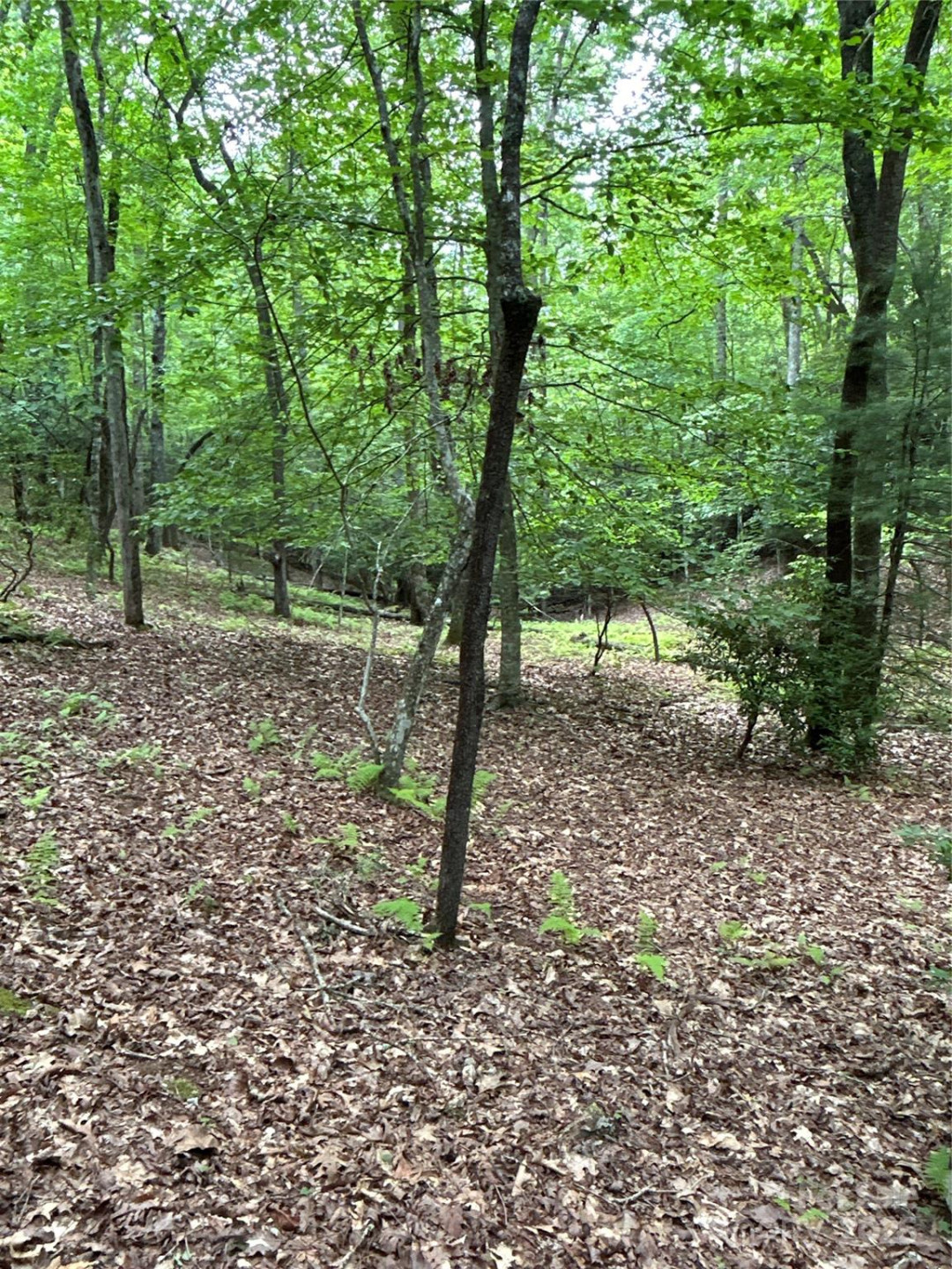 55 Locust Court - Photo 14