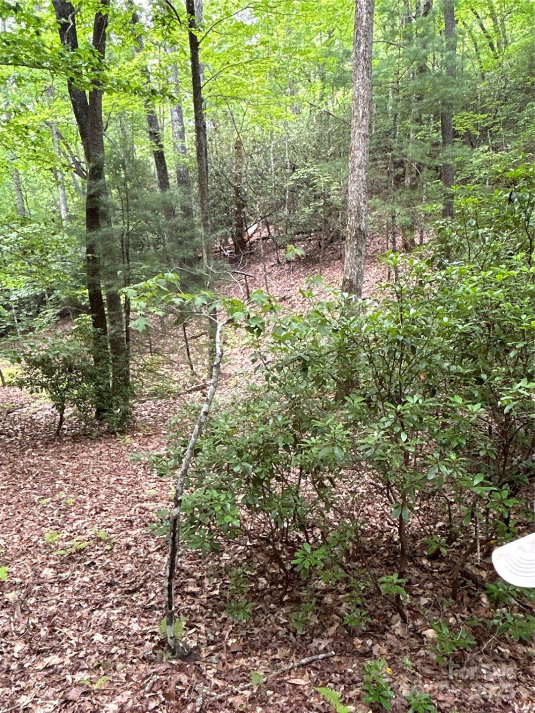 55 Locust Court - Photo 15