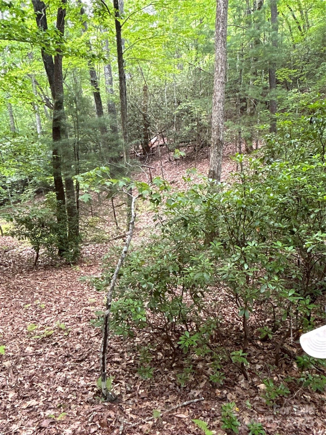 55 Locust Court - Photo 15
