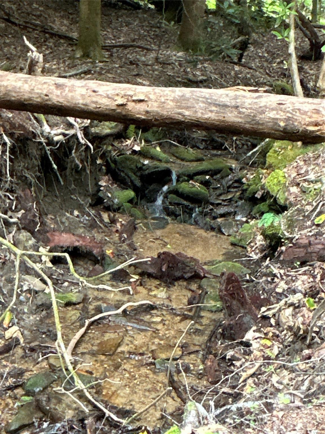 55 Locust Court - Photo 16