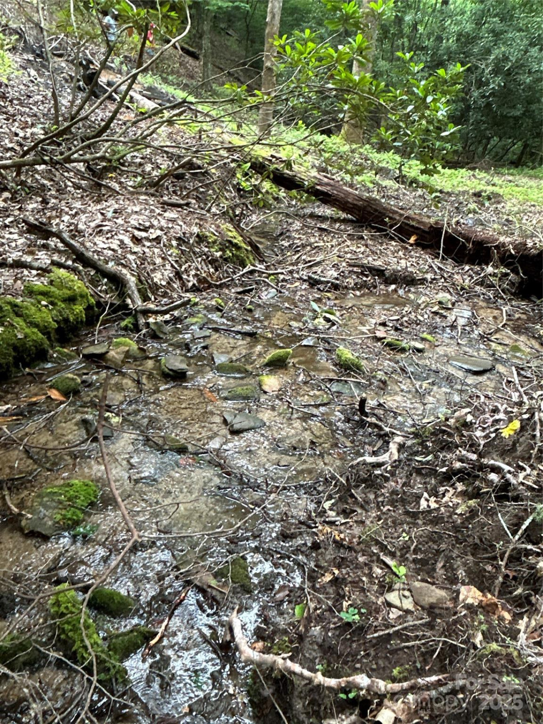 55 Locust Court - Photo 17