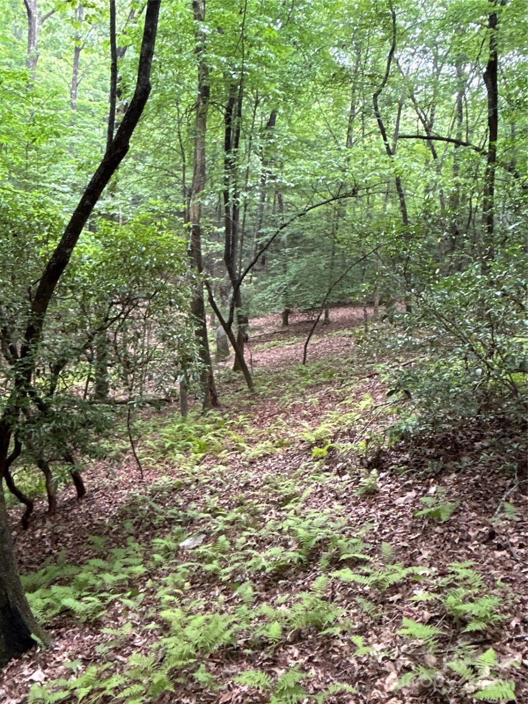 55 Locust Court - Photo 18