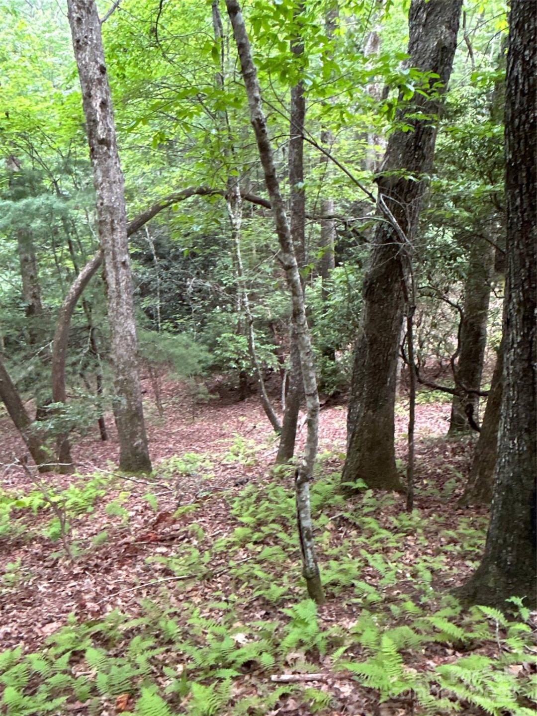 55 Locust Court - Photo 19