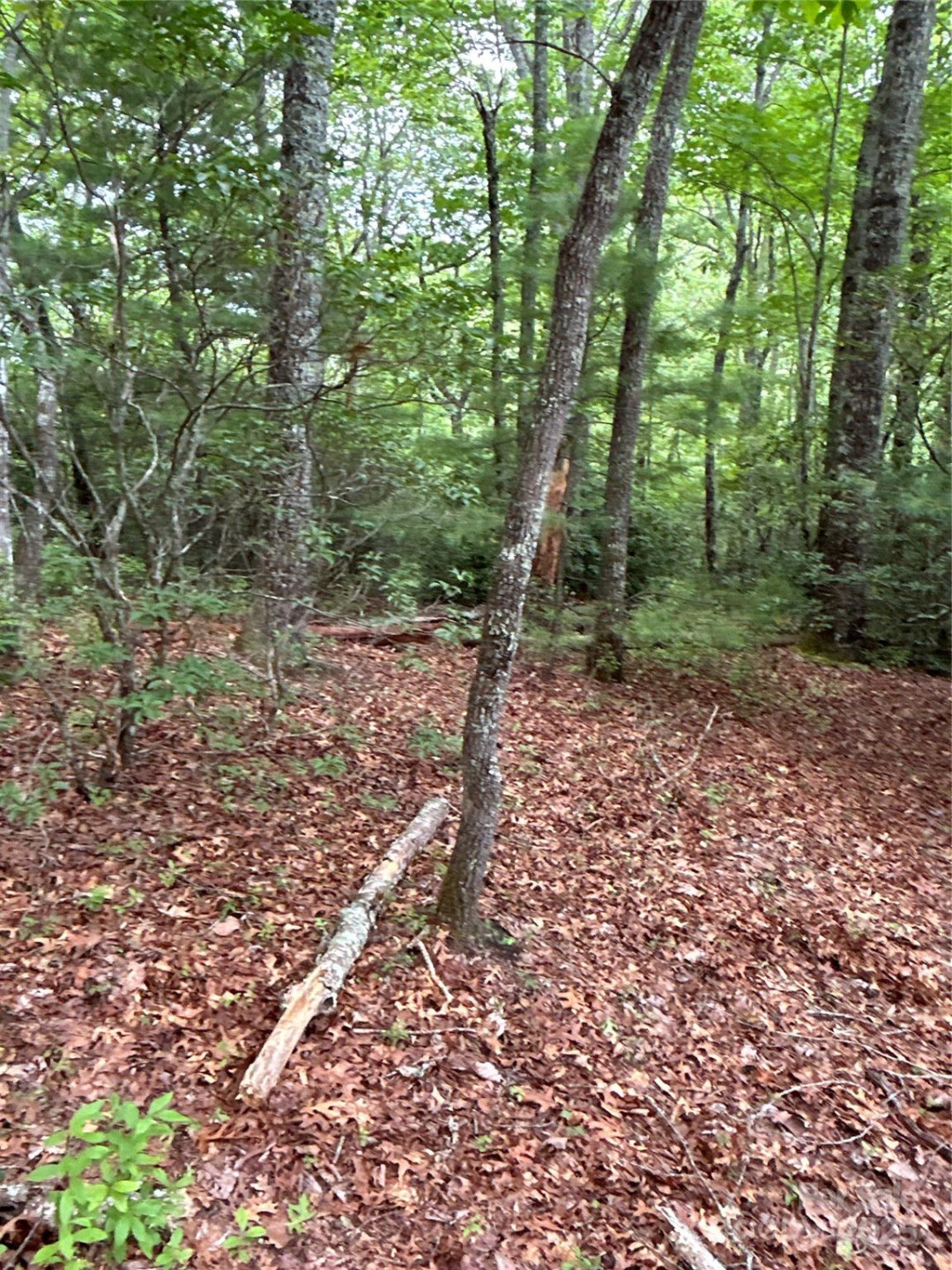 55 Locust Court - Photo 20