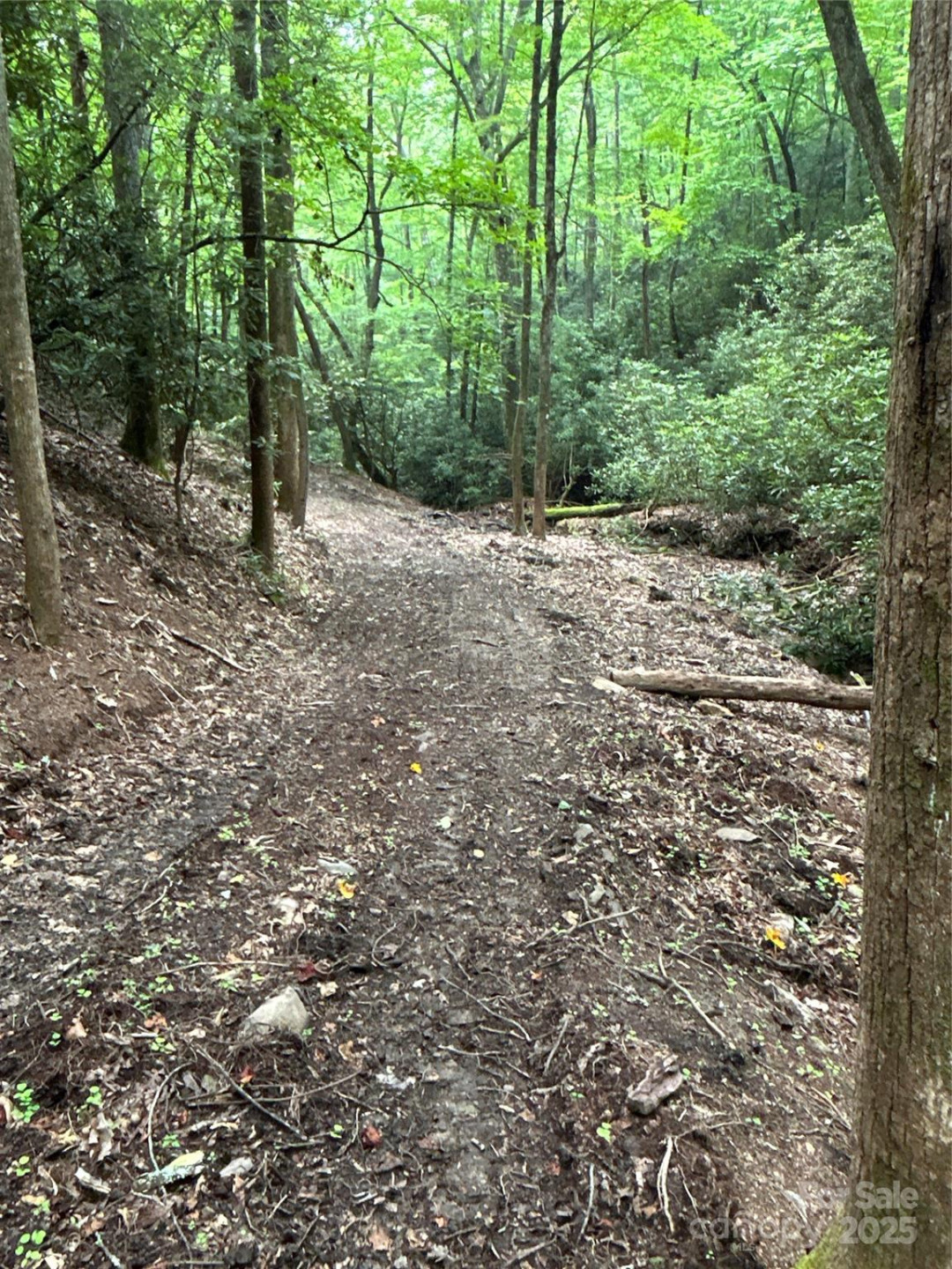 55 Locust Court - Photo 21