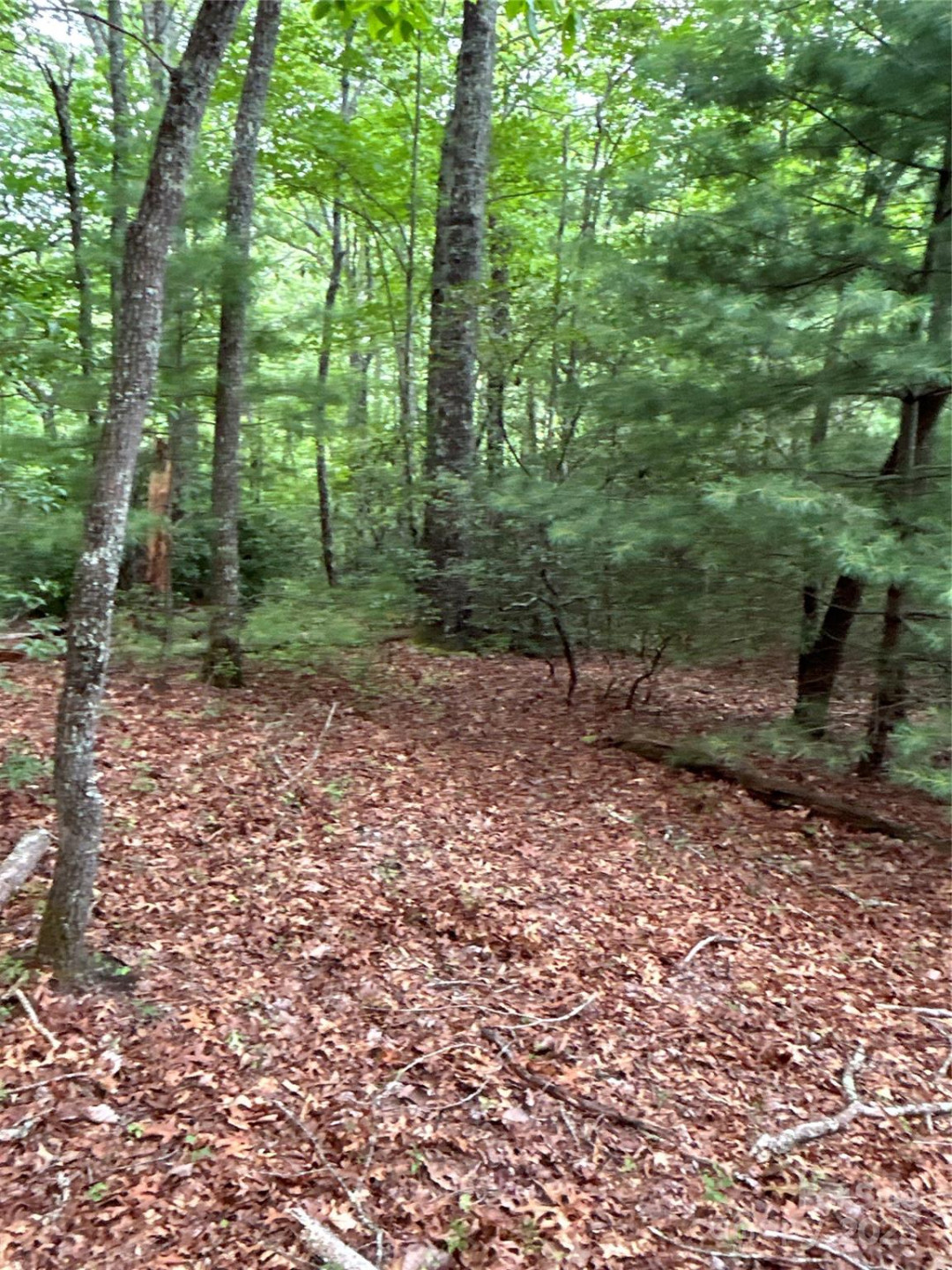 55 Locust Court - Photo 24