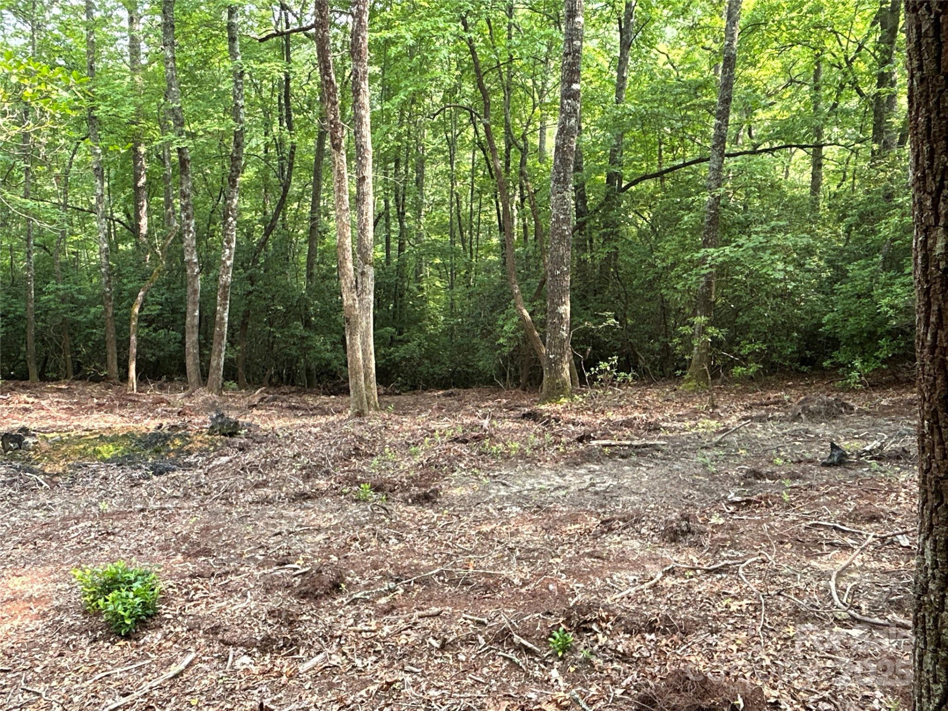 55 Locust Court - Photo 5