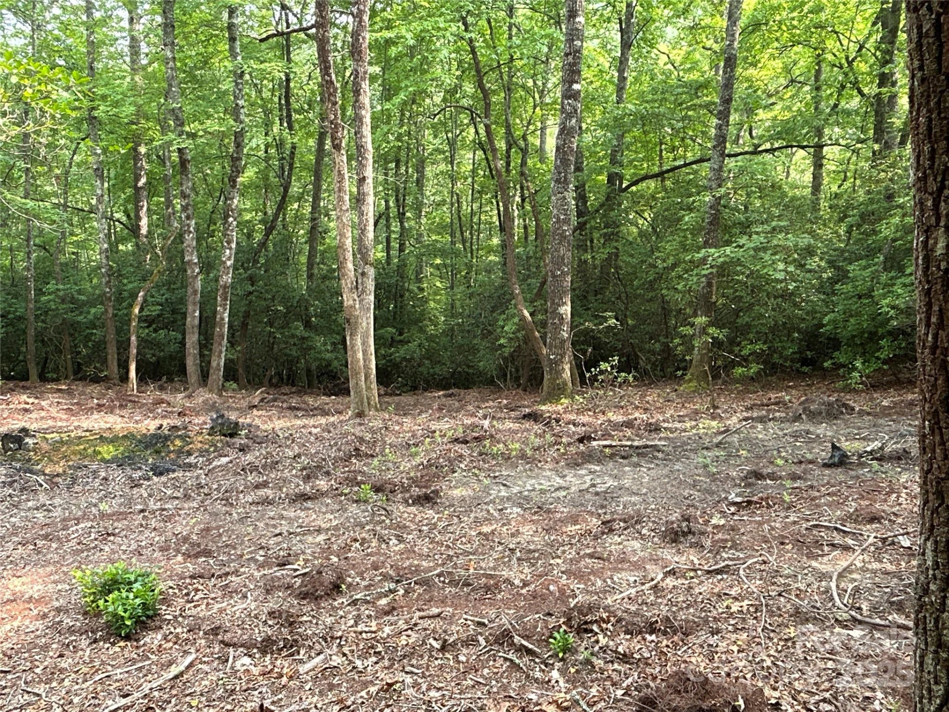 55 Locust Court - Photo 5