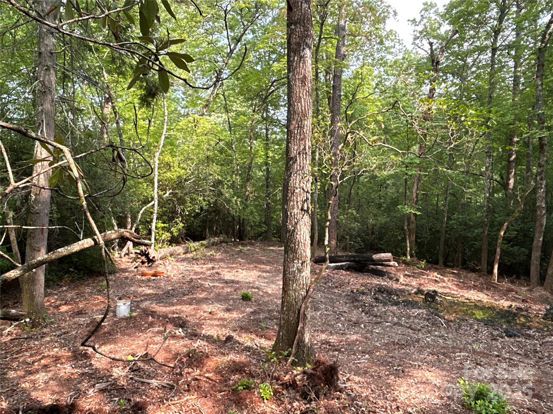 55 Locust Court - Photo 6