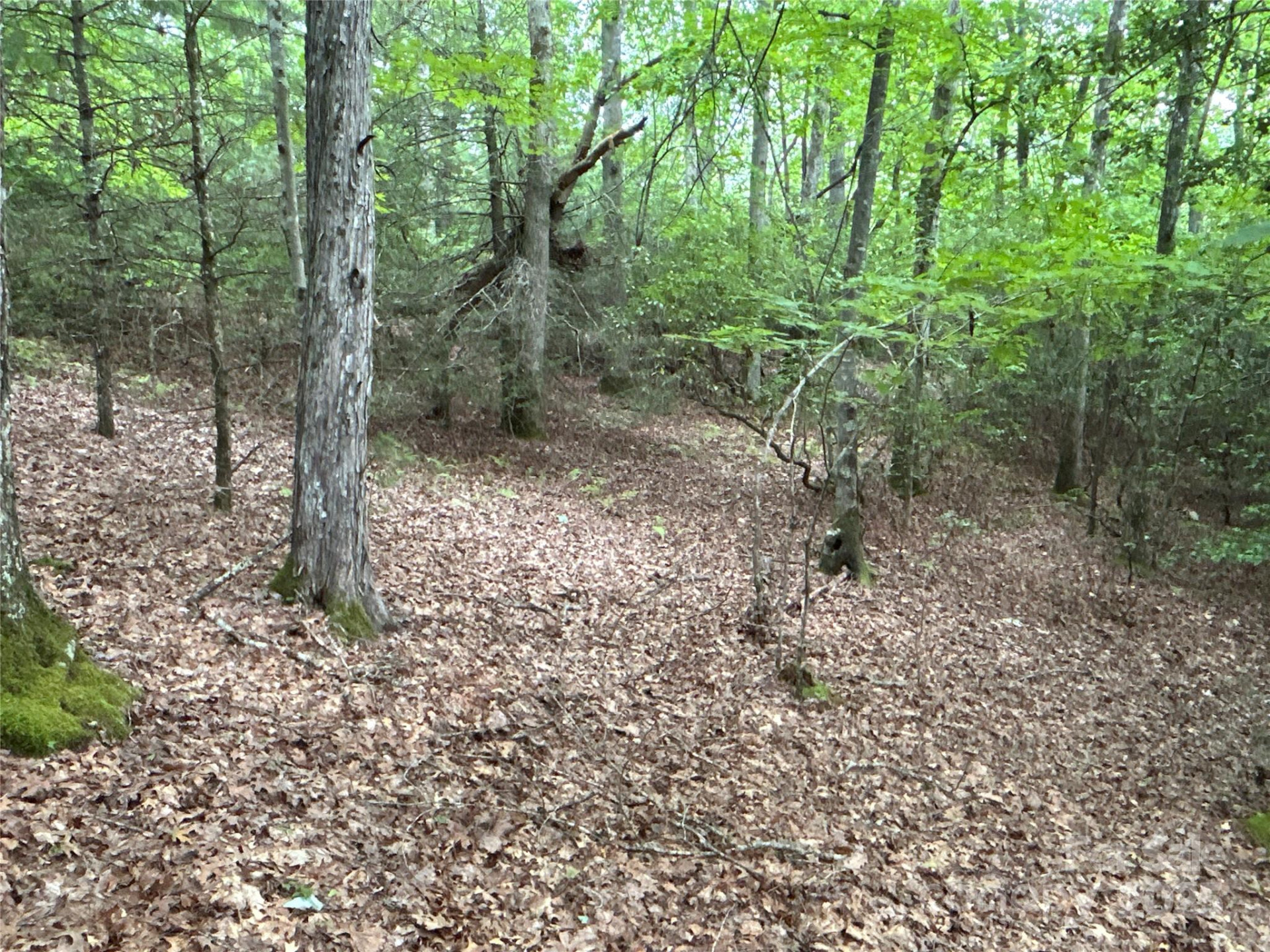 55 Locust Court - Photo 7