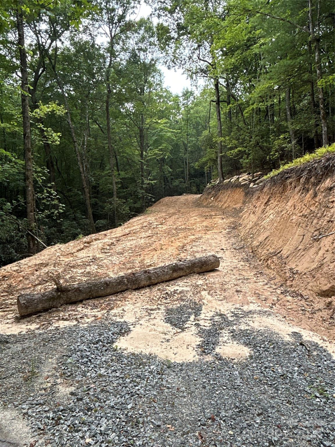 55 Locust Court - Photo 8