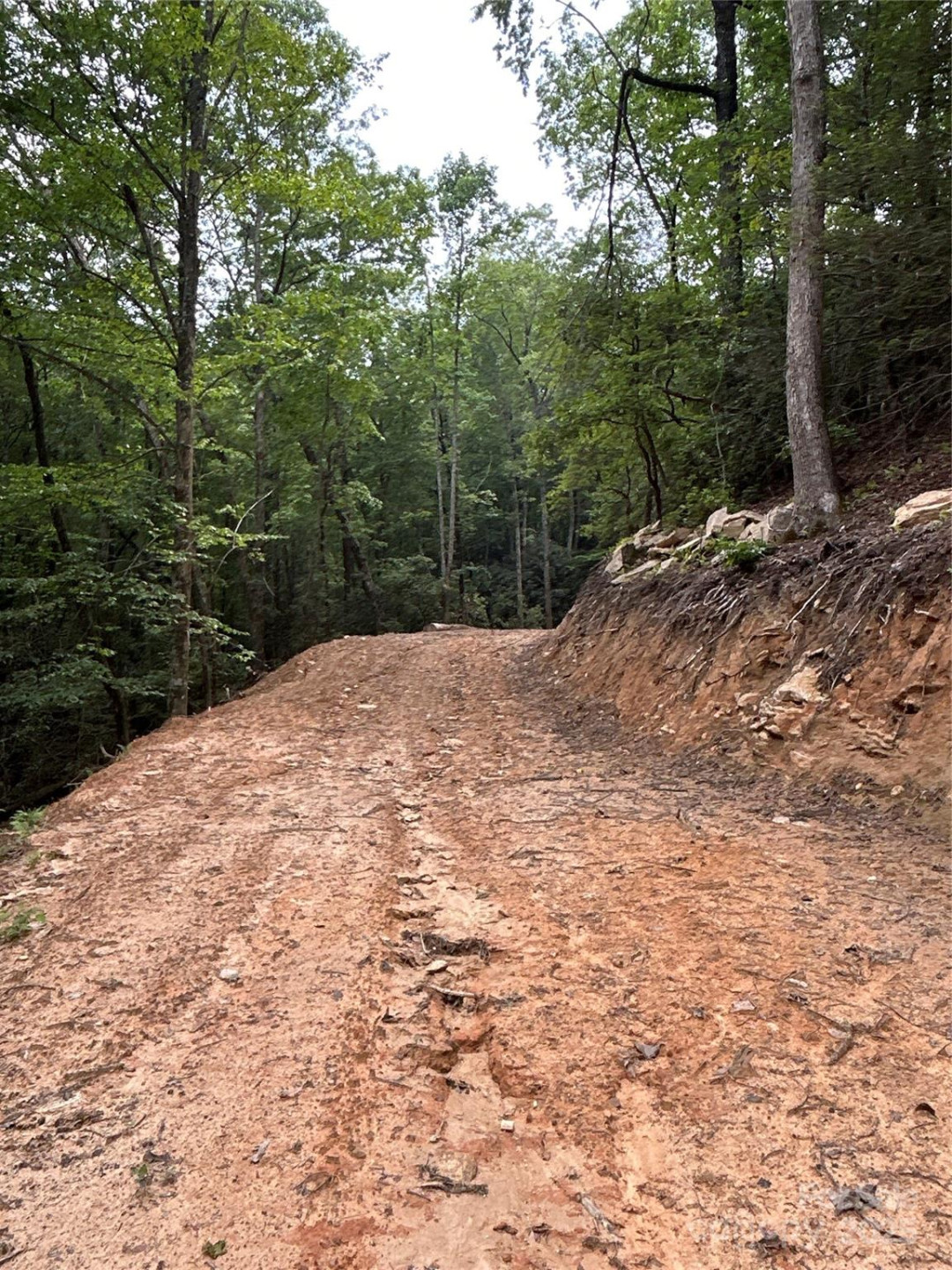 55 Locust Court - Photo 9