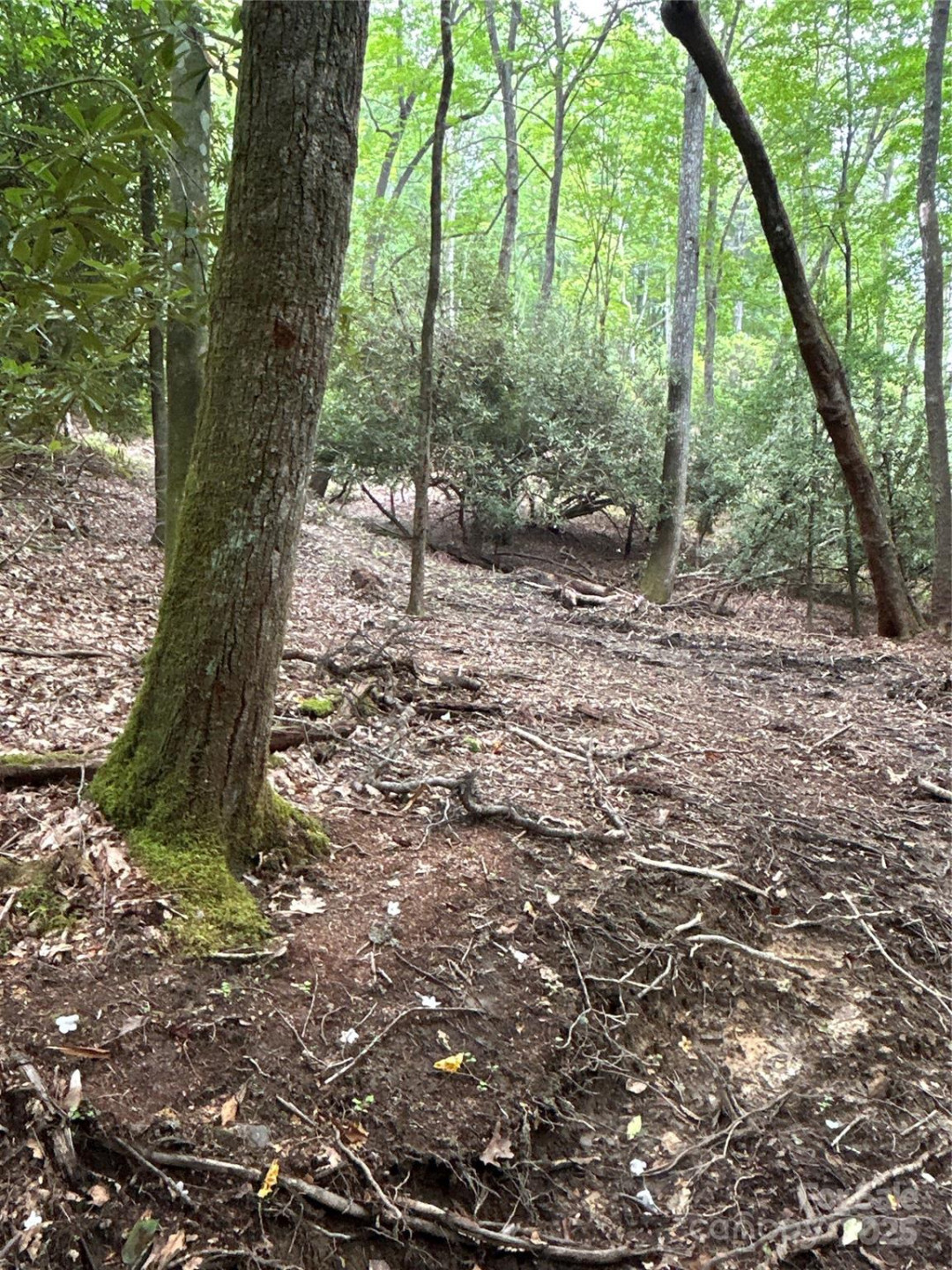 55 Locust Court - Photo 10