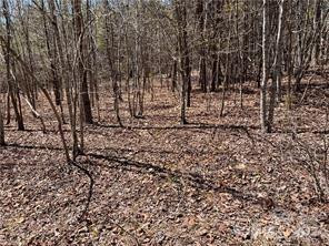 0000 Elliot Lane ##45 & 48 - Photo 11