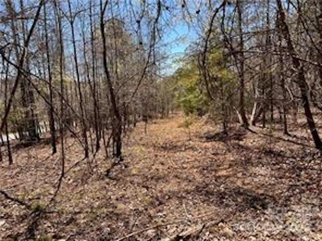 0000 Elliot Lane ##45 & 48 - Photo 13