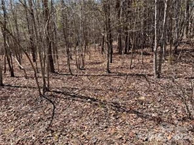 0000 Elliot Lane ##45 & 48 - Photo 14