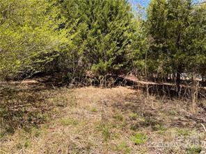 0000 Elliot Lane ##45 & 48 - Photo 5